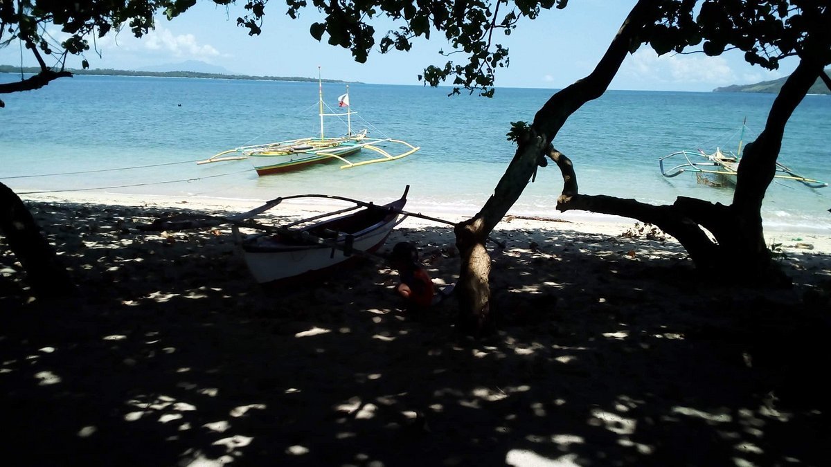 Quinapaguian Island