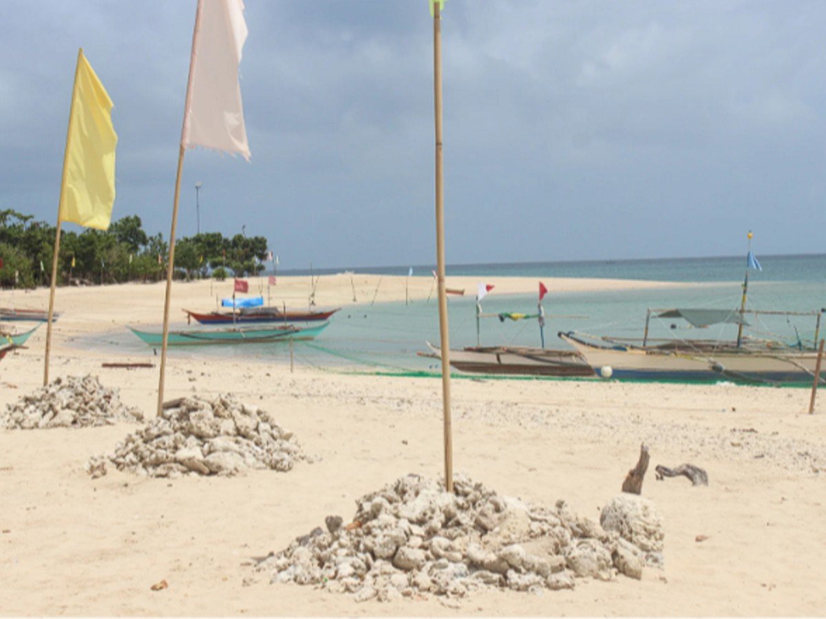 Caringo Island